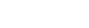 RACECHIP